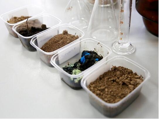 Анализ почвы и грунта в СургутПНИИС